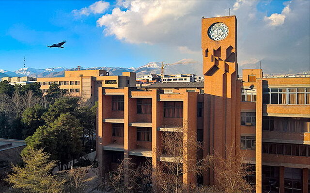 تصویر 8